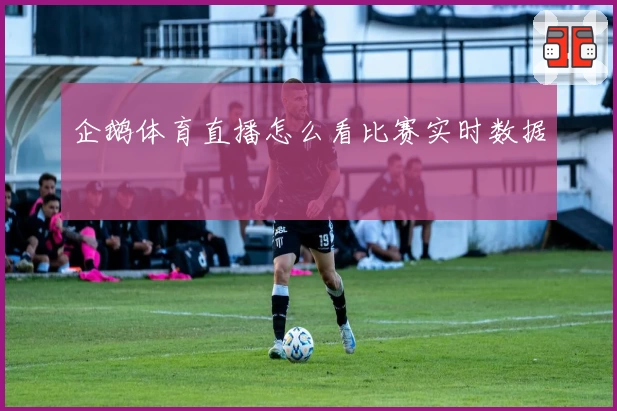 企鹅体育直播怎么看比赛实时数据