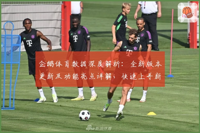 企鹅体育数据深度解析：全新版本更新及功能亮点详解，快速上手新手指南