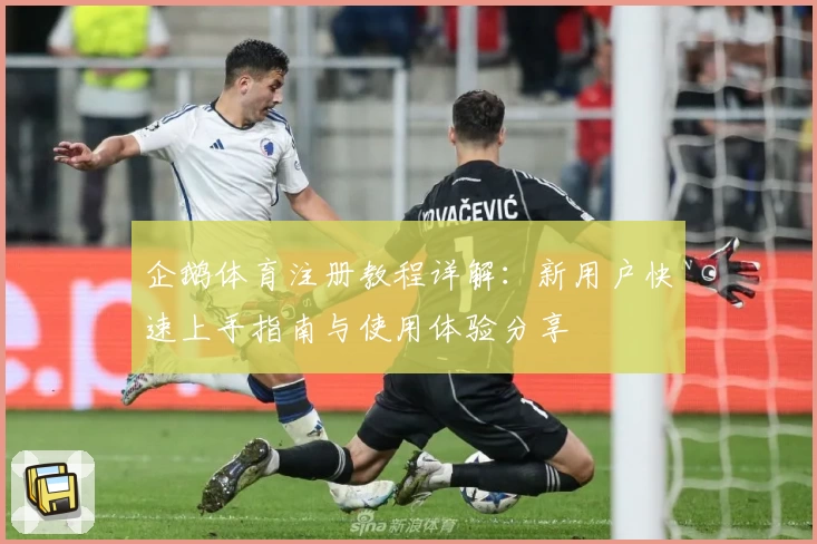 企鹅体育注册教程详解：新用户快速上手指南与使用体验分享