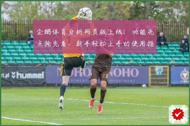 企鹅体育分析网页版上线：功能亮点抢先看，新手轻松上手的使用指南