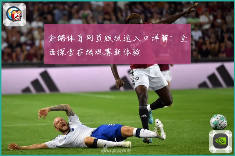 企鹅体育网页版极速入口详解：全面探索在线观赛新体验