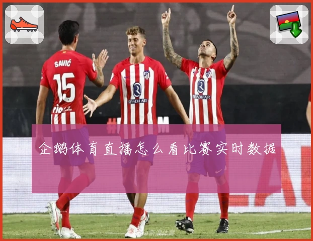 企鹅体育直播怎么看比赛实时数据