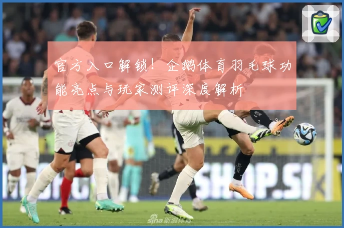 官方入口解锁!企鹅体育羽毛球功能亮点与玩家测评深度解析